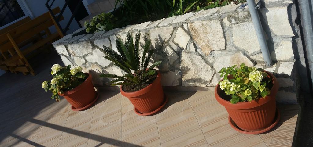 Apartments Popovic Ulcinj Bagian luar foto